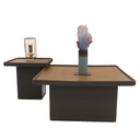 طاولة وسط + جانبية MAX مربع 