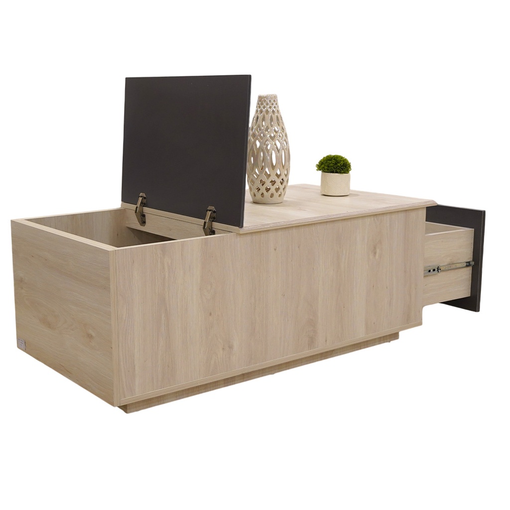 طاولة وسط HOLD 