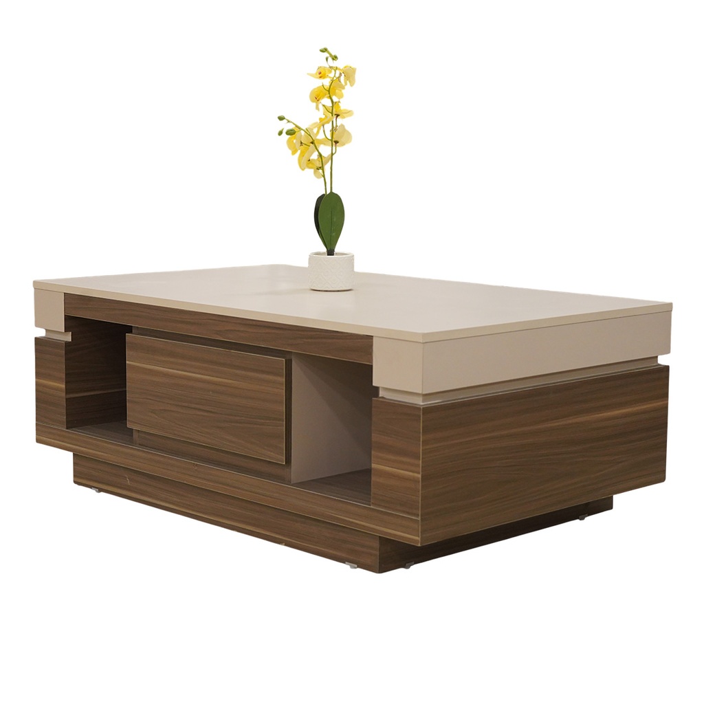 طاولة وسط مودرن LIO 