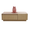 طاولة وسط مودرن READER 