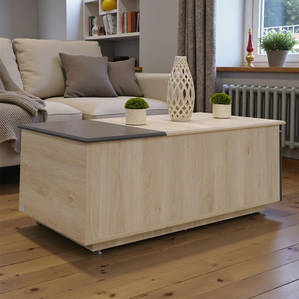 طاولة وسط HOLD 